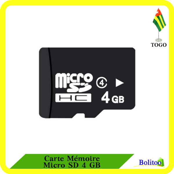 Carte Mémoire micro SD 4Go