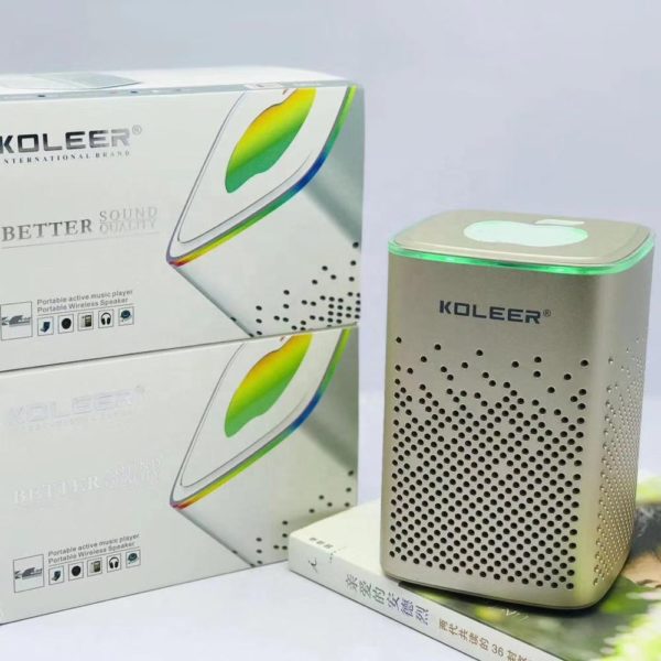 Haut-parleur portable Koleer S818