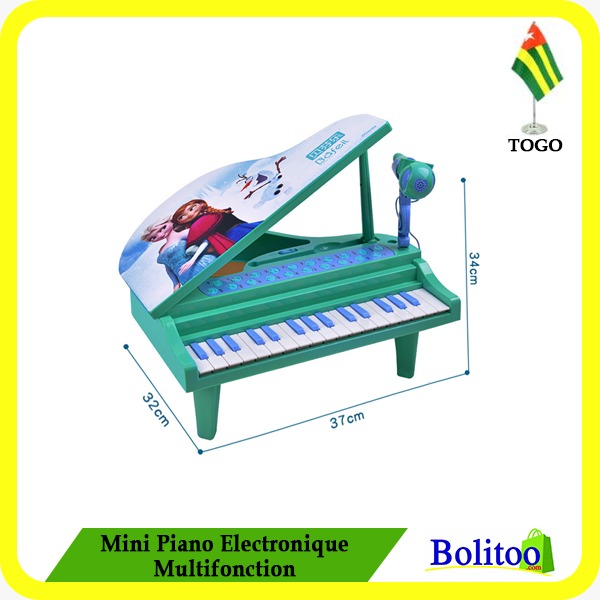 Mini Piano Electronique Multifonction