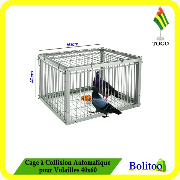 Cage à Collision Automatique pour Volailles 40x60