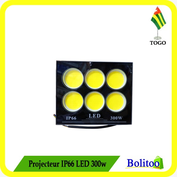 Projecteur IP66 LED
