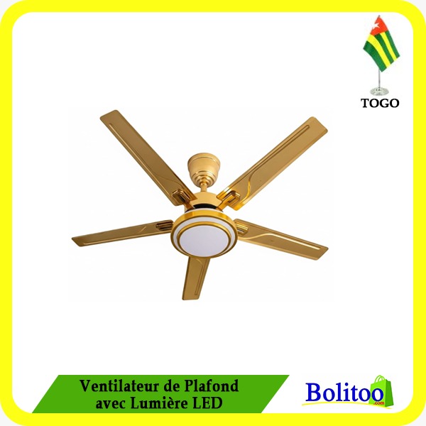 Ventilateur de Plafond avec Lumière LED