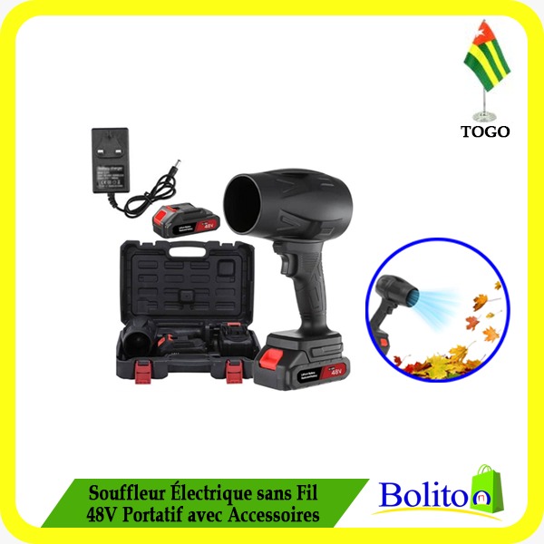 Souffleur Électrique sans fil 48V Portatif avec Accessoires
